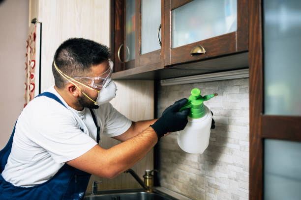 Best Pest Control for Homes  in Redland, AL