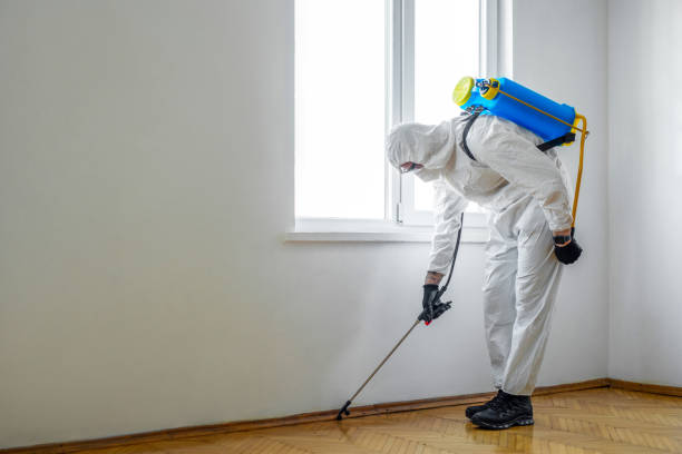 Professional Pest Control in Redland, AL