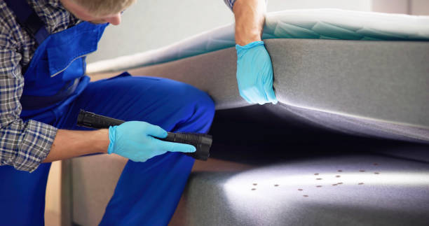 Best Cockroach Control Services  in Redland, AL