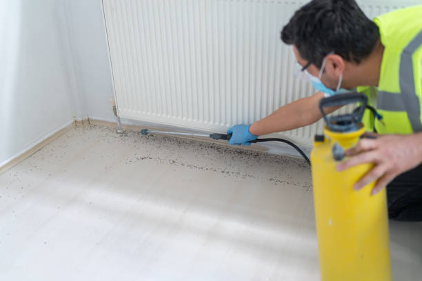 Best Pest Prevention Services  in Redland, AL